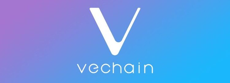 Обзор сети VeChain и криптовалюты VET